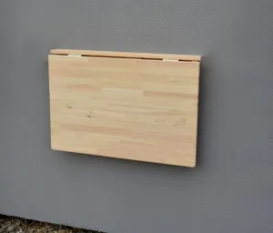 Nástenný sklápací stolík Rojaplast