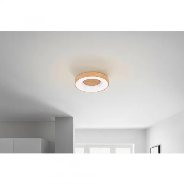 Stropné LED svietidlo LUZIA