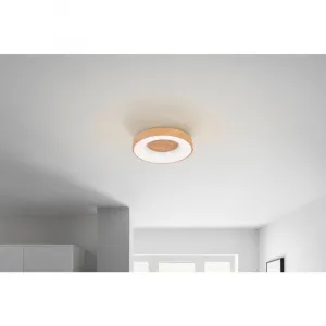 Stropné LED svietidlo LUZIA