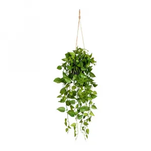 UMELÁ RASTLINA PHILODENDRON II -PAZ- -EXT-