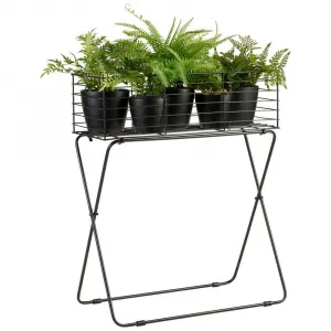 Stojan na rastliny Black Times, V: 30cm