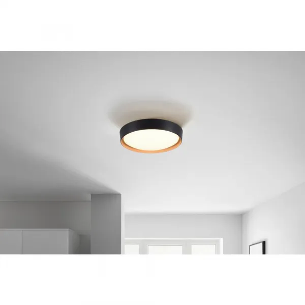 LED stropné svietidlo Emilia, vrát. LED 29W