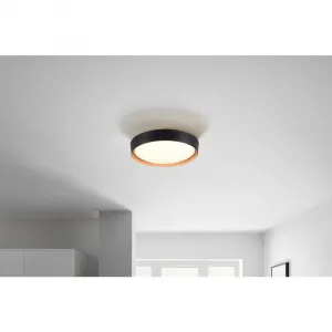 LED stropné svietidlo Emilia, vrát. LED 29W
