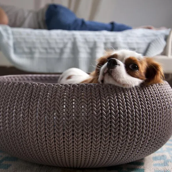 Pelech pre domácich miláčikov KNIT PET SANDY