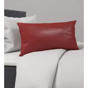 POŤAH NA VANKÚŠ Alex Uni, 40/60cm, terakota