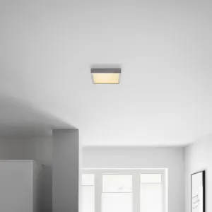 LED stropné svietidlo Fridolin3 22,5/22,5cm, 15 Watt