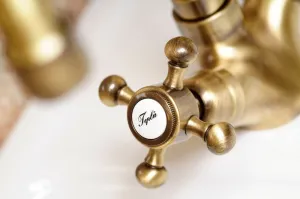 SAPHO SAPHO - ANTEA stojánkova drezová batéria s retro hubicou, bronz 3126