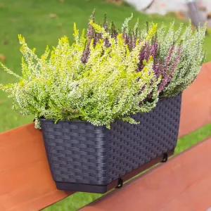 Prosperplast Truhlík s háčikmi TEZIR antracit, varianta 38,6 cm