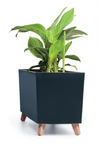 Prosperplast Box s vložkou CORBI IV 77 cm antracitový