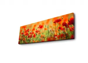 Hanah Home Obraz s led osvetlením Sean 90x30 cm
