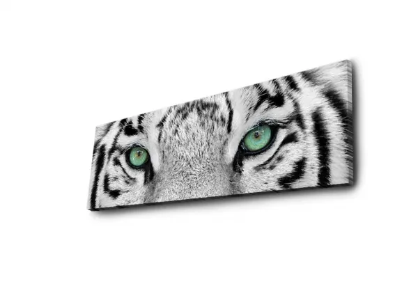 Hanah Home Obraz s led osvetlením White Tiger 90x30 cm