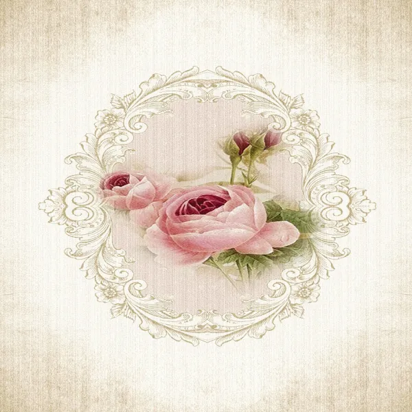 ASIR Koberec 100 x 150 ROSE viac farieb