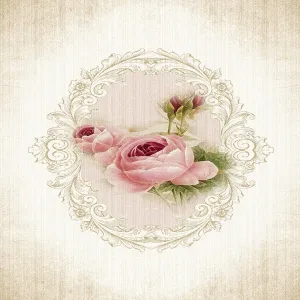 ASIR Koberec 100 x 150 ROSE viac farieb