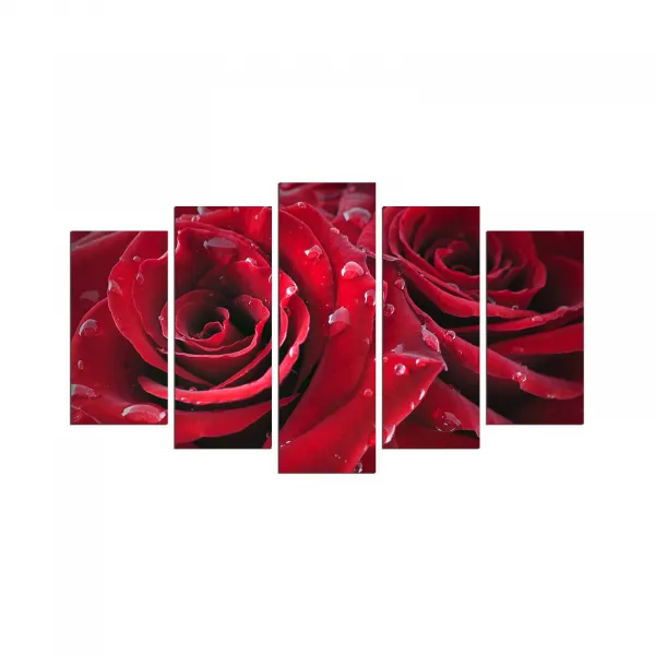 Hanah Home Viacdielny obraz Rojo Manto 110x60 cm