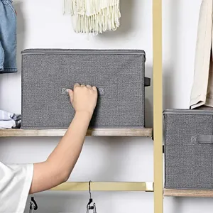 SONGMICS Úložné boxy s vekom Tripas sivé