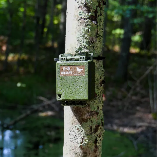 Wildlife Acoustics SONG METER MICRO 2 Acoustic Recorder