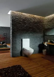 Geberit Monolith - Sanitárny modul na závesné WC, 101 cm, bočný prívod vody, biela 131.022.SI.5