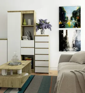 Ak furniture Komoda CL6 40 cm dub artisan/bílá