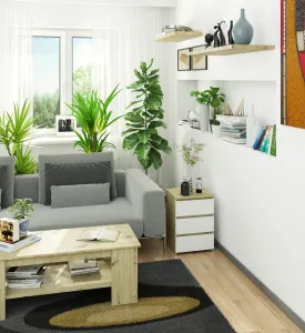 Ak furniture Komoda CL3 40 cm dub artisan/bílá
