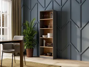 TP Living Knižnica R60 antracit/dub artisan