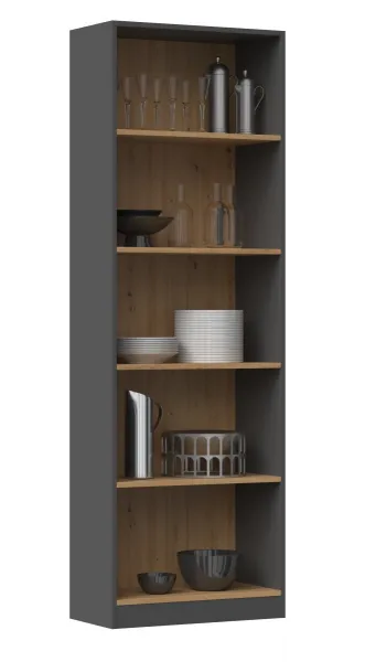 TP Living Knižnica R60 antracit/dub artisan