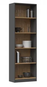 TP Living Knižnica R60 antracit/dub artisan