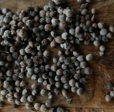 VitaminBottle VITEX agnus castus 60 kps