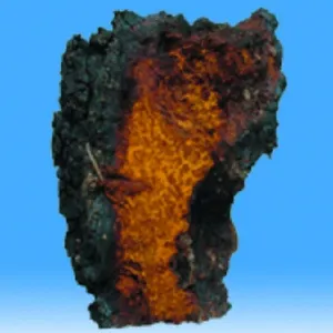 MRL CHAGA 90 tabl.