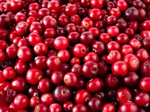 Vitamin Bottle BRUSNICA (CRANBERRY) natural 30 kaps
