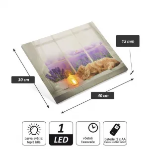 Nexos 86701 Nástenná maľba mačka na okne, 1 LED, 30 x 40 cm