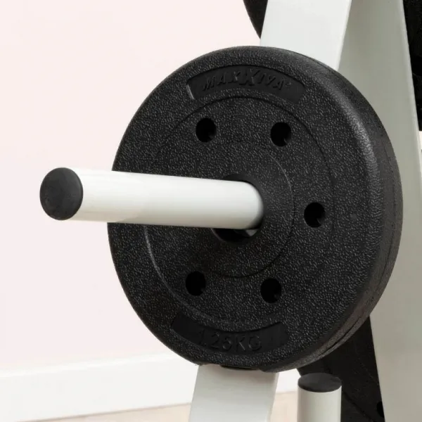 MAXXIVA set závažia, 1.25 kg, 2 ks