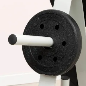 MAXXIVA set závažia, 1.25 kg, 2 ks