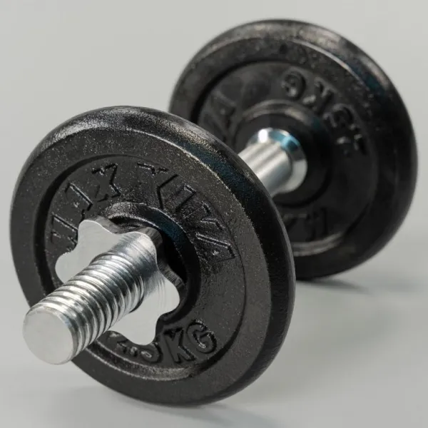 MAXXIVA 81956 Sada 4 závaží na činky celkom 10 kg, liatina, čierna