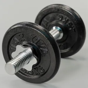 MAXXIVA 81956 Sada 4 závaží na činky celkom 10 kg, liatina, čierna