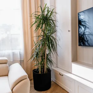 TEMPO-KONDELA ATIKUS, obaly na kvetináče, set 3 ks, biela/čierna