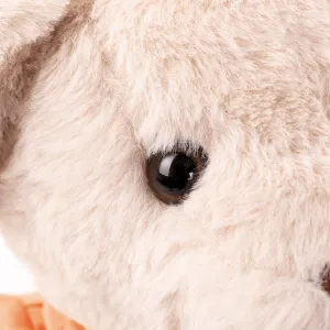 Plyšový medvedík, smotanová/oranžová, 45cm, MADEN BOY TYP1