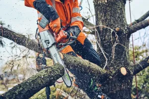 Akumulátorová reťazová píla Husqvarna T542i XP® bez akumulátora a nabíjačky