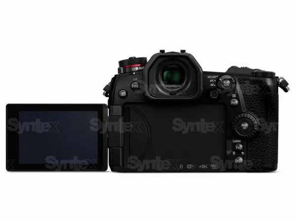 Panasonic LUMIX DC-G9 4982