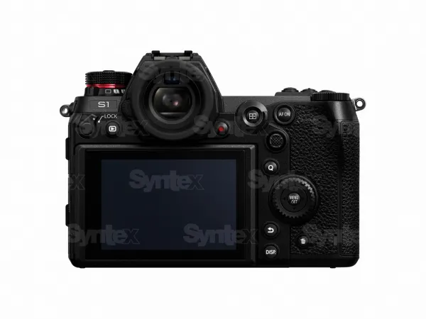 Panasonic LUMIX DC-S1 (telo) 9987