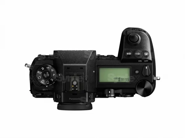 Panasonic LUMIX DC-S1 (telo) 9987