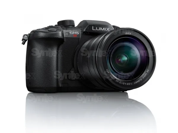 Panasonic LUMIX DC-GH5S (telo) 9041