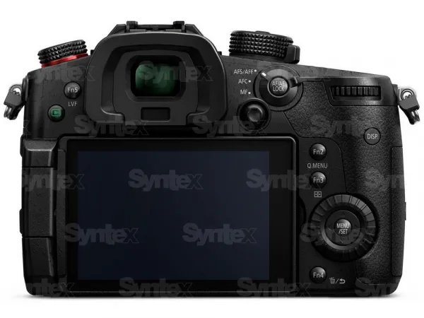 Panasonic LUMIX DC-GH5S (telo) 9041