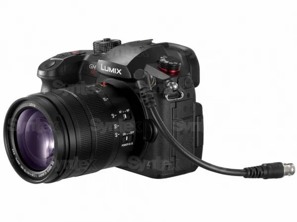 Panasonic LUMIX DC-GH5S (telo) 9041