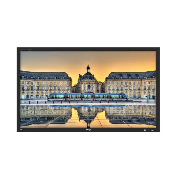 TVLogic S-42P 42" LCD monitor 17431