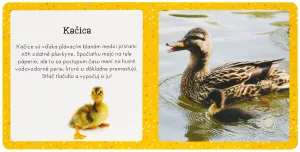 Zvuky pre najmenších Milované zvieratá