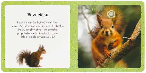 Zvuky pre najmenších Milované zvieratá