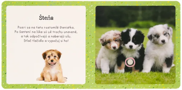Zvuky pre najmenších Maznáčikovia