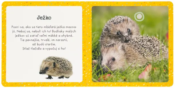 Zvuky pre najmenších Drobné zvieratá