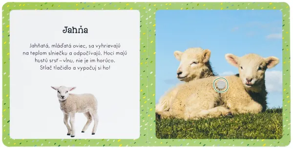 Zvuky pre najmenších Drobné zvieratá