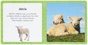 Zvuky pre najmenších Drobné zvieratá